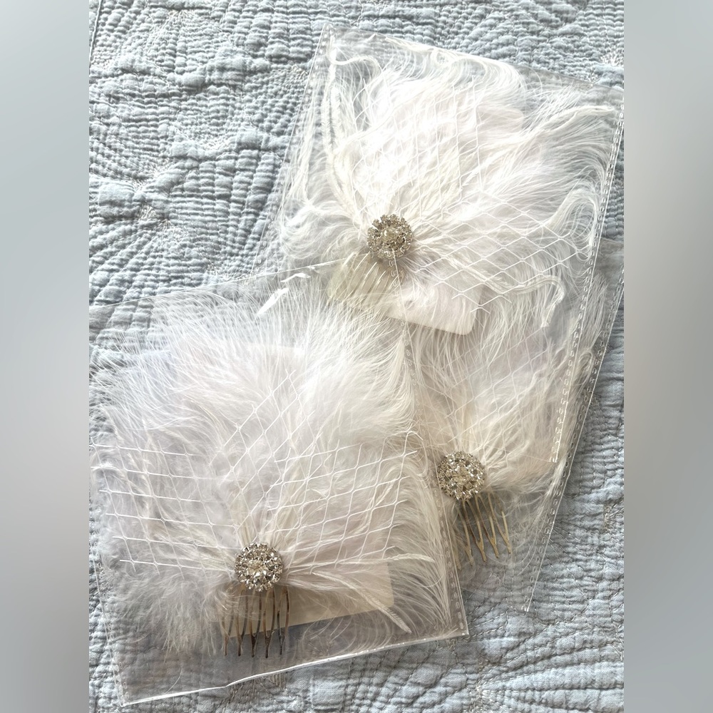 NIB HAIR accessories